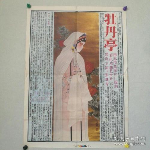 海牙大学 Sociological degree